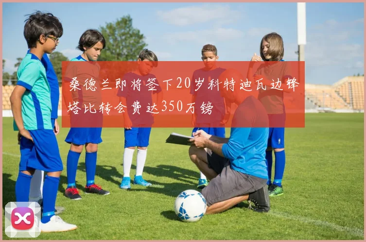 桑德兰即将签下20岁科特迪瓦边锋塔比转会费达350万镑