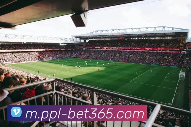 bet365发展历程