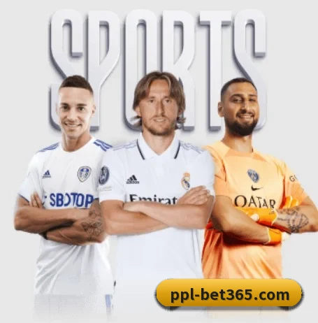 五大服务分区,信息按项目分类 - 多运动项目内容板块 - bet365